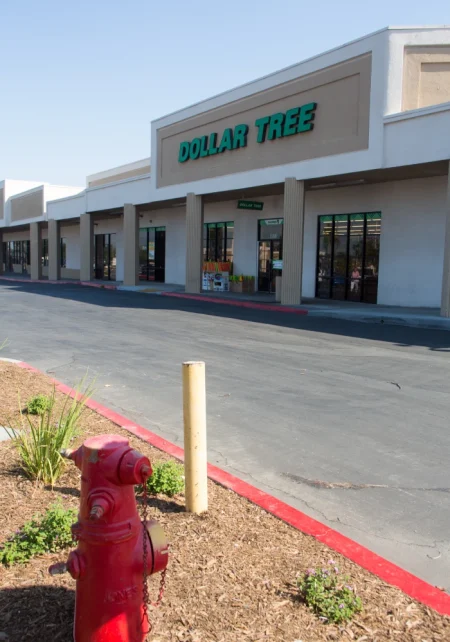 Doller Tree